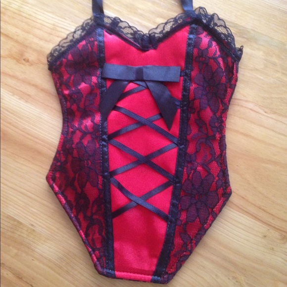 passion parties Handbags - 2/$20 Passion Parties bustier bag